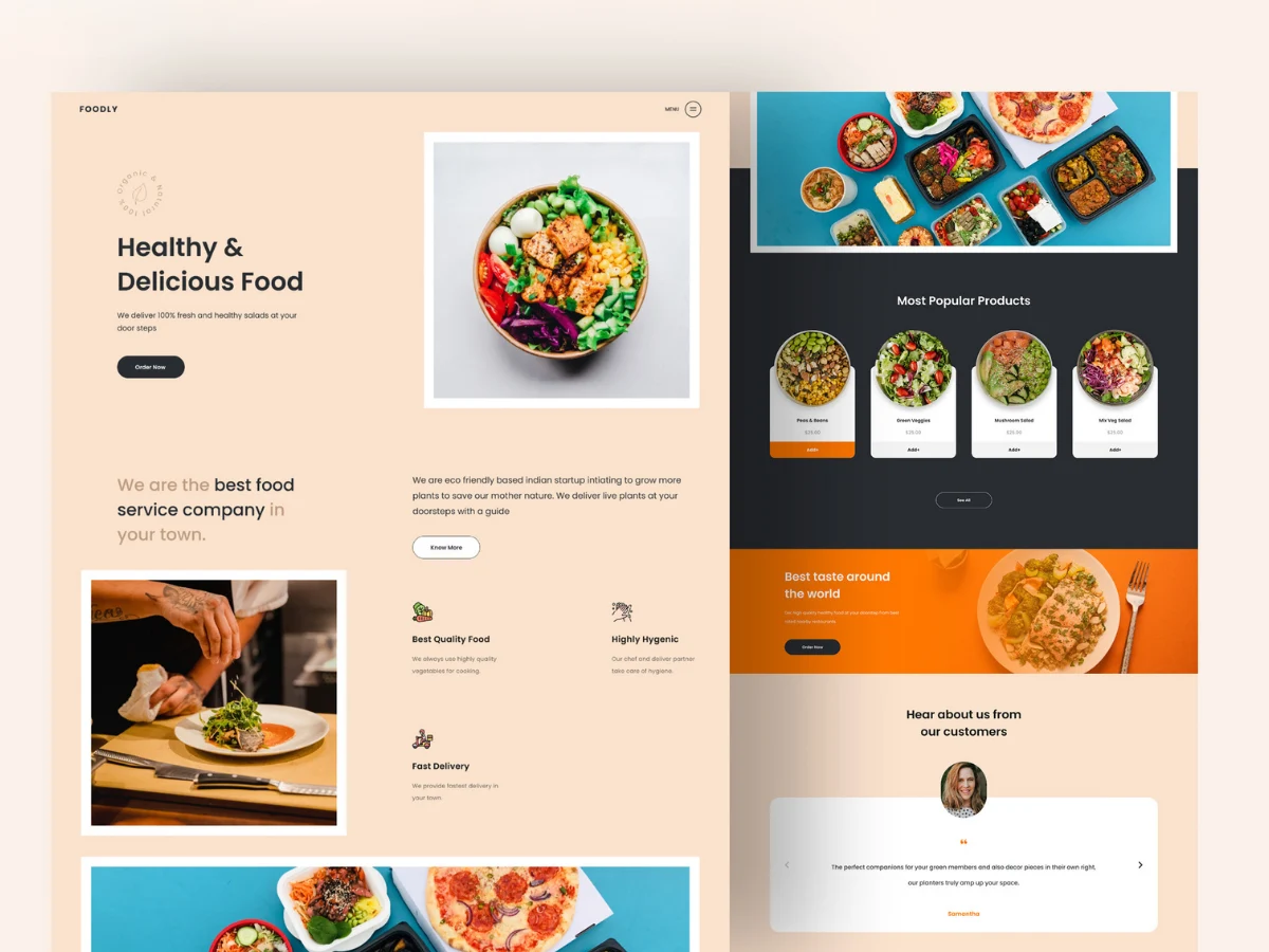 Ecommerce Website Design Company - Gallery Item 5